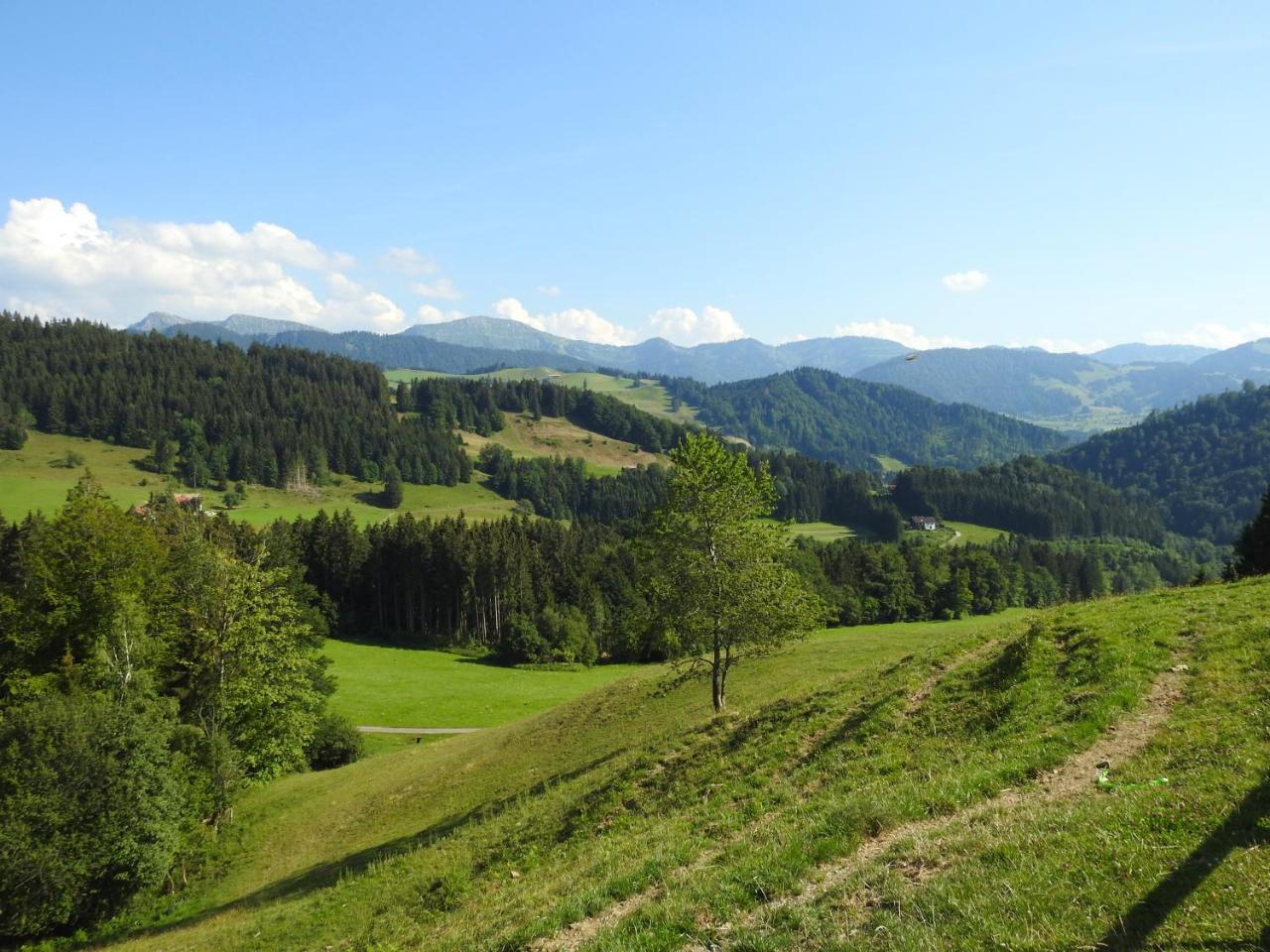 Ferienwohnungen Am Schlossberg Oberstaufen Exterior foto